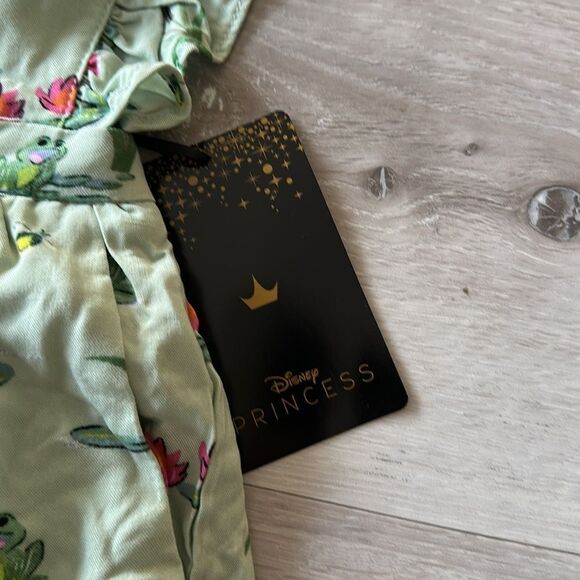 Disney The Princess and the Frog Lily Pads & Flowers Ruffle Jumper 5T NWT - Picture 4 of 7